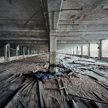 Load image into Gallery viewer, Ruins of Detroit