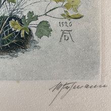 Load image into Gallery viewer, Original etching after Albrecht Dürer watercolour