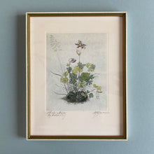 Load image into Gallery viewer, Original etching after Albrecht Dürer watercolour