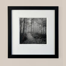 Load image into Gallery viewer, Autumn Path by Jordan Craig