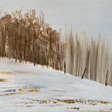 Load image into Gallery viewer, Framed oil on canvas by C.A. Vandergeest