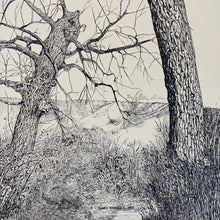 Load image into Gallery viewer, Alberta Landscape