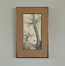 Load image into Gallery viewer, Alberta Landscape