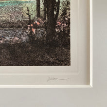 Load image into Gallery viewer, The Rose Garden of Villa Pallavicino