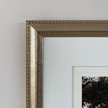 Load image into Gallery viewer, The Rose Garden of Villa Pallavicino