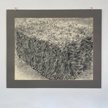 Load image into Gallery viewer, Bale of Hay