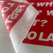 Load image into Gallery viewer, Barbara Kruger - Untitled (Flag)
