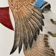 Load image into Gallery viewer, &#39;Mallard in Flight&#39;
