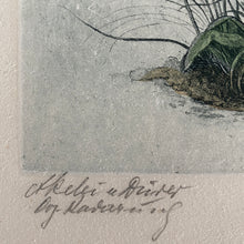 Load image into Gallery viewer, Original etching after Albrecht Dürer watercolour
