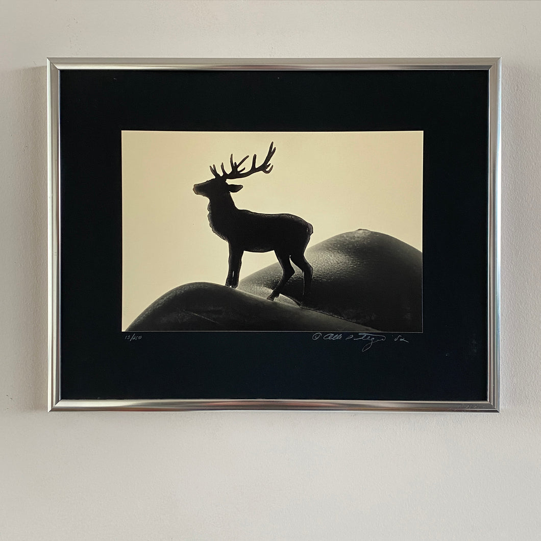 Deer in landscape