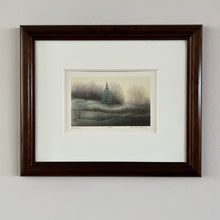 Load image into Gallery viewer, Shadows (signed lithograph)
