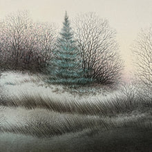 Load image into Gallery viewer, Shadows (signed lithograph)
