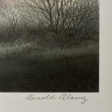 Load image into Gallery viewer, Shadows (signed lithograph)
