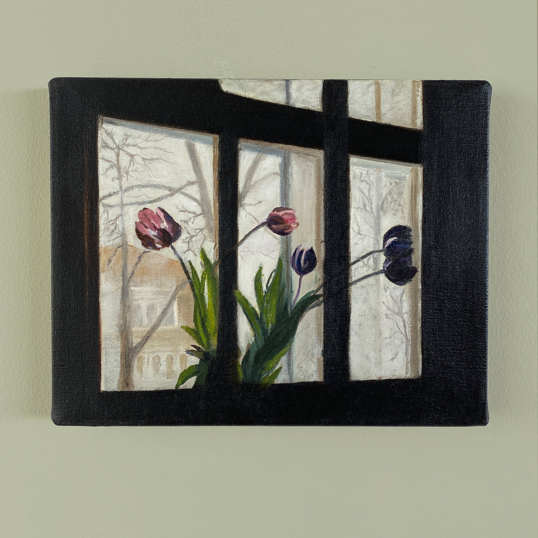 Tulips near window