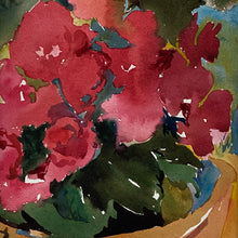 Load image into Gallery viewer, Begonias
